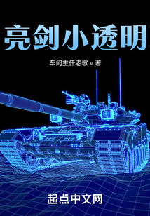 亮剑小透明下载
