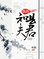 我的知县夫君TXT下载