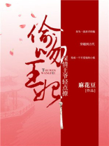 偷吻王妃深情王爷慢点追