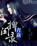 九洲捭阖录