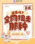 连麦直播是什么意思