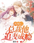 离婚后总裁前夫狂追我全集