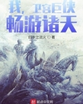 我,卫宫超侠