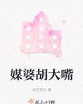媒婆胡大嘴