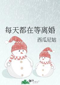 每天都在等离婚全文免费阅读