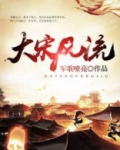 大宋风流小说免费下载