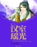 汉室瑶光 小说