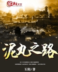 泥丸之路