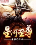 星河至尊小说
