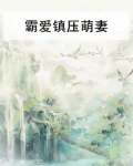 霸爱 小说