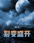 裂变这本书