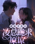 藏起孕肚后,凌总跪求原谅