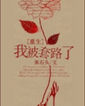我被套路了什么意思