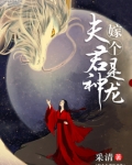 嫁个夫君是神龙小说