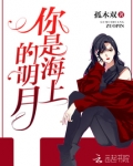 你是海上的明月全文免费阅读(孤木双)