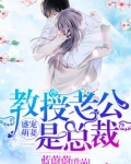 盛宠萌妻教授老公是总裁免费