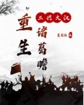 重生三国之诸葛均