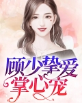 顾少的掌心宠小说