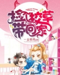 捡个猫咪带回家好不好