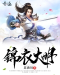 锦衣大明免费阅读全文