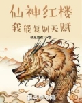 仙神红楼:我能复制天赋