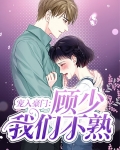 顾少宠宠宠