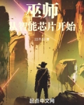 小说巫师能采集
