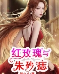 红玫瑰与朱砂痣歌曲