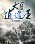 大夏逍遥王皮小宝