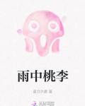 雨中桃李花
