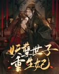 重生新婚夜妖孽世子和我约法三章