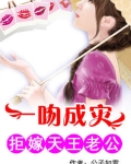 一吻成灾:拒嫁天王老公共