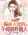 重生后偏执大佬要宠我txt