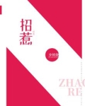 招惹短剧电视剧免费观看全集