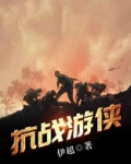 抗战游侠 小说无错版