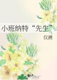 小班纳特“先生”