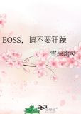 BOSS，请不要狂躁
