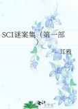 SCI谜案集（第一部）