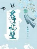 君子怀璧